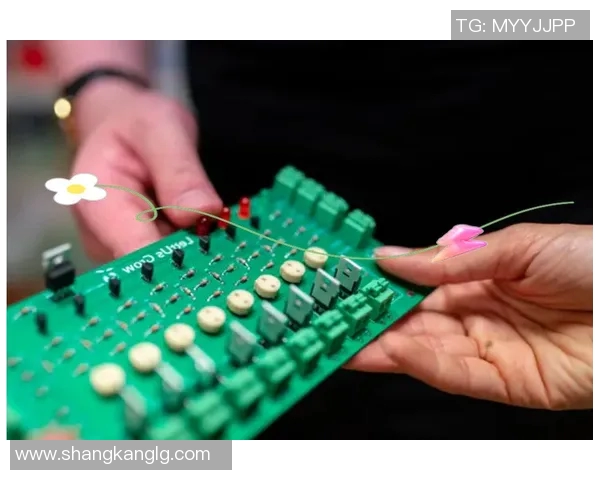 重庆羽毛球队防守革新之路探索与实践的深度剖析与展望