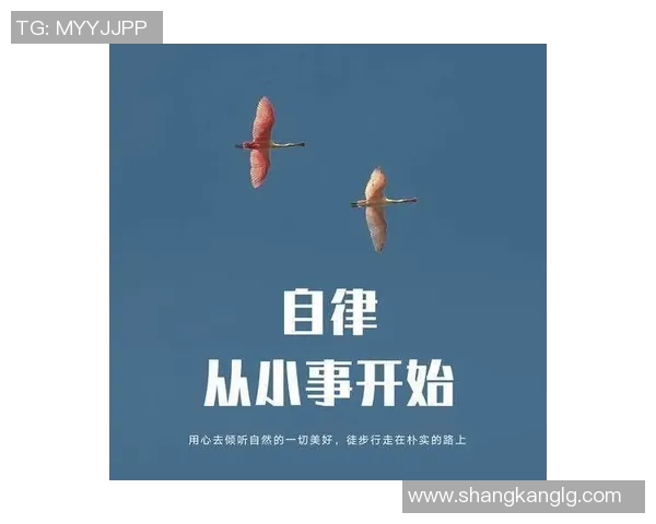 吴伟谈攀岩人生：从初学者到顶尖高手的心路历程与成长故事