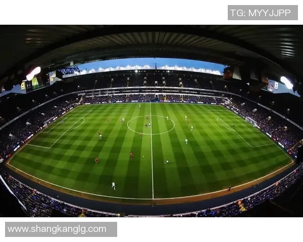 璀璨星光下的足球传奇他们如何在绿茵场上书写辉煌历史