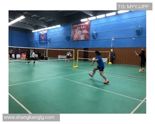 西安羽毛球队包夹战术分析及其在比赛中的成效与不足之处