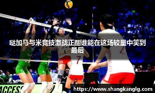 VSport胜利因您更精彩