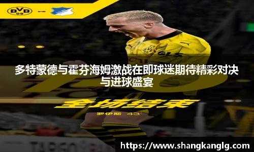 VSport胜利因您更精彩