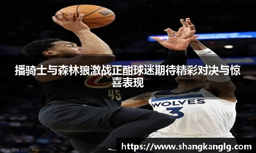 VSport胜利因您更精彩