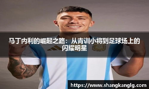 马丁内利的崛起之路：从青训小将到足球场上的闪耀明星