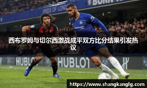 西布罗姆与切尔西激战成平双方比分结果引发热议