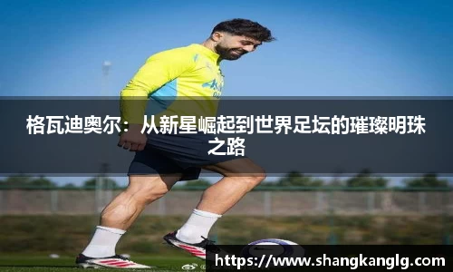 VSport胜利因您更精彩