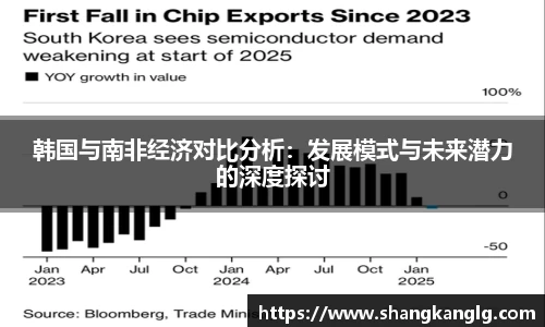 韩国与南非经济对比分析：发展模式与未来潜力的深度探讨